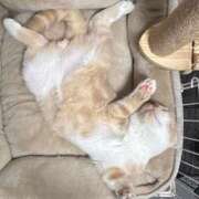 ヒメ日記 2025/10/26 05:04 投稿 ぽんかん すぐ舐めたくて学園立川校〜舐めたくてグループ〜