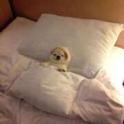 ヒメ日記 2026/01/03 09:42 投稿 古賀あゆは 全裸美女からのカゲキな誘惑