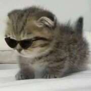 古賀あゆは 出勤 全裸美女からのカゲキな誘惑