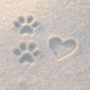 ヒメ日記 2026/01/30 18:10 投稿 古賀あゆは 全裸美女からのカゲキな誘惑