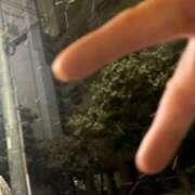 ヒメ日記 2026/02/08 02:48 投稿 古賀あゆは 全裸美女からのカゲキな誘惑