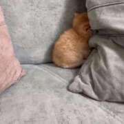 ヒメ日記 2026/03/06 10:09 投稿 古賀あゆは 全裸美女からのカゲキな誘惑