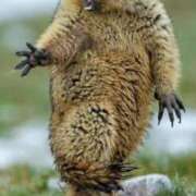 ヒメ日記 2026/03/07 16:18 投稿 古賀あゆは 全裸美女からのカゲキな誘惑