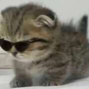 ヒメ日記 2026/04/04 15:58 投稿 古賀あゆは 全裸美女からのカゲキな誘惑