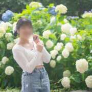 ヒメ日記 2025/06/16 16:29 投稿 かな Fの法則