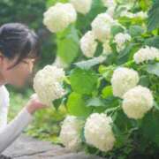 ヒメ日記 2025/06/21 12:03 投稿 かな Fの法則