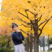 かな 元気です😸 Fの法則