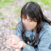 ヒメ日記 2026/04/10 06:56 投稿 かな Fの法則