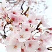 あきな 今日行きます 性腺熟女100％鶯谷（デリヘル市場）