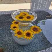 ヒメ日記 2025/09/09 12:20 投稿 夏目ひまり 多恋人倶楽部