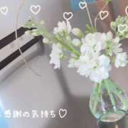 ヒメ日記 2025/05/19 19:21 投稿 ハナビ 煌-kirameki-