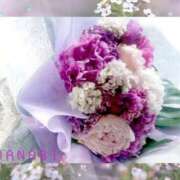 ヒメ日記 2025/06/02 20:40 投稿 ハナビ 煌-kirameki-