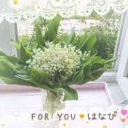 ヒメ日記 2025/06/09 11:16 投稿 ハナビ 煌-kirameki-