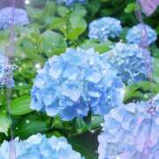 ヒメ日記 2025/06/30 10:44 投稿 ハナビ 煌-kirameki-