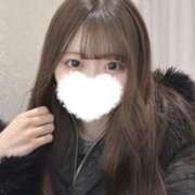 ヒメ日記 2026/02/08 06:01 投稿 ミズナ エピソード(品川)