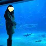 ヒメ日記 2025/06/29 14:53 投稿 立花しおり Secret　select