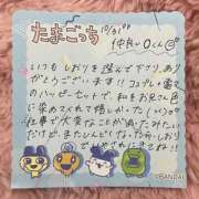 ヒメ日記 2025/11/01 05:43 投稿 立花しおり Secret　select