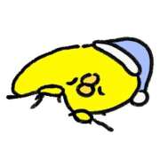 ヒメ日記 2025/12/11 21:53 投稿 立花しおり Secret　select