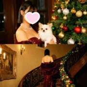 ヒメ日記 2025/12/25 14:53 投稿 立花しおり Secret　select