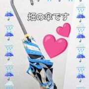 ヒメ日記 2025/05/10 19:18 投稿 畑 新宿人妻城