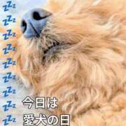 ヒメ日記 2025/05/13 16:48 投稿 畑 新宿人妻城