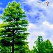 畑 お題写メ♥️ 新宿人妻城