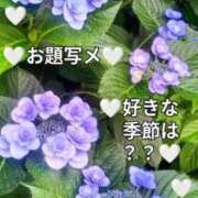 ヒメ日記 2025/06/18 15:15 投稿 畑 渋谷人妻城