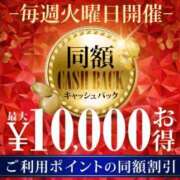 ヒメ日記 2025/12/11 13:00 投稿 畑 渋谷人妻城