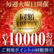 ヒメ日記 2025/12/31 11:32 投稿 畑 渋谷人妻城