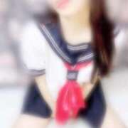 ヒメ日記 2025/06/19 15:41 投稿 かれん C.C.CATS