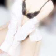 ヒメ日記 2025/07/07 13:41 投稿 かれん C.C.CATS