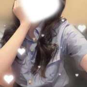 ヒメ日記 2025/07/29 12:41 投稿 かれん C.C.CATS