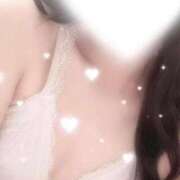 ヒメ日記 2025/10/01 14:41 投稿 かれん C.C.CATS