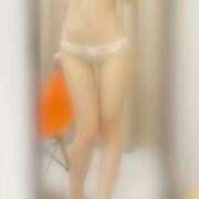 ヒメ日記 2025/10/14 14:22 投稿 かれん C.C.CATS