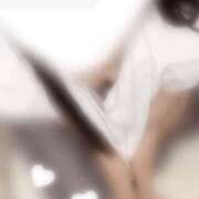 ヒメ日記 2025/10/23 17:02 投稿 かれん C.C.CATS