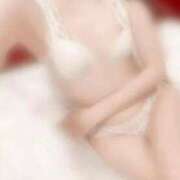 ヒメ日記 2025/11/28 15:03 投稿 かれん C.C.CATS