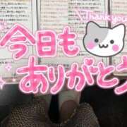 ヒメ日記 2025/05/15 00:00 投稿 河本　しず スタイリッシュ秘書