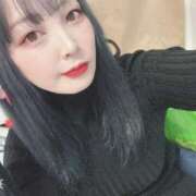 ヒメ日記 2025/05/16 16:30 投稿 河本　しず スタイリッシュ秘書