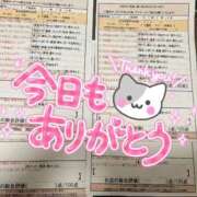 ヒメ日記 2025/05/17 00:24 投稿 河本　しず スタイリッシュ秘書