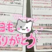 ヒメ日記 2025/06/17 00:31 投稿 河本　しず スタイリッシュ秘書