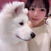 ヒメ日記 2025/05/17 00:38 投稿 あいす（極上SPコース対応） EIGHT（エイト）～8つのお約束と無限の可能性～