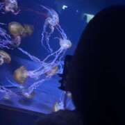 ヒメ日記 2025/06/21 06:00 投稿 なぎさ ラブリップ所沢