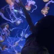 ヒメ日記 2025/07/10 09:30 投稿 なぎさ ラブリップ所沢