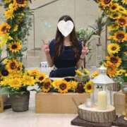 ヒメ日記 2025/09/19 13:20 投稿 なぎさ ラブリップ所沢