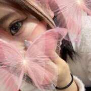 ヒメ日記 2026/01/10 20:25 投稿 かや ロディオ