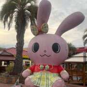 ヒメ日記 2026/04/11 00:06 投稿 かや ヴァージンチェリー