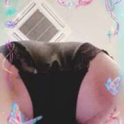 ヒメ日記 2025/07/29 12:13 投稿 かな(昭和44年生まれ) 熟年カップル名古屋～生電話からの営み～