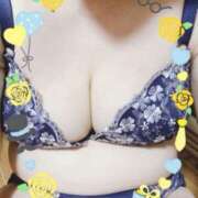 ヒメ日記 2025/08/11 08:19 投稿 かな(昭和44年生まれ) 熟年カップル名古屋～生電話からの営み～