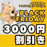 ヒメ日記 2025/11/20 17:46 投稿 かな(昭和44年生まれ) 熟年カップル名古屋～生電話からの営み～