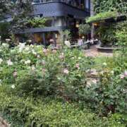 ヒメ日記 2025/07/13 11:05 投稿 なぎ（ダーリング） Yシャツと私